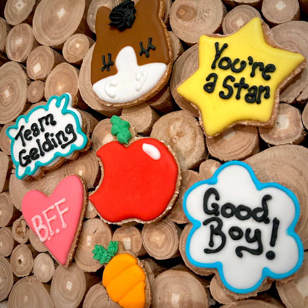 Team Gelding Horse Cookie 7 pack