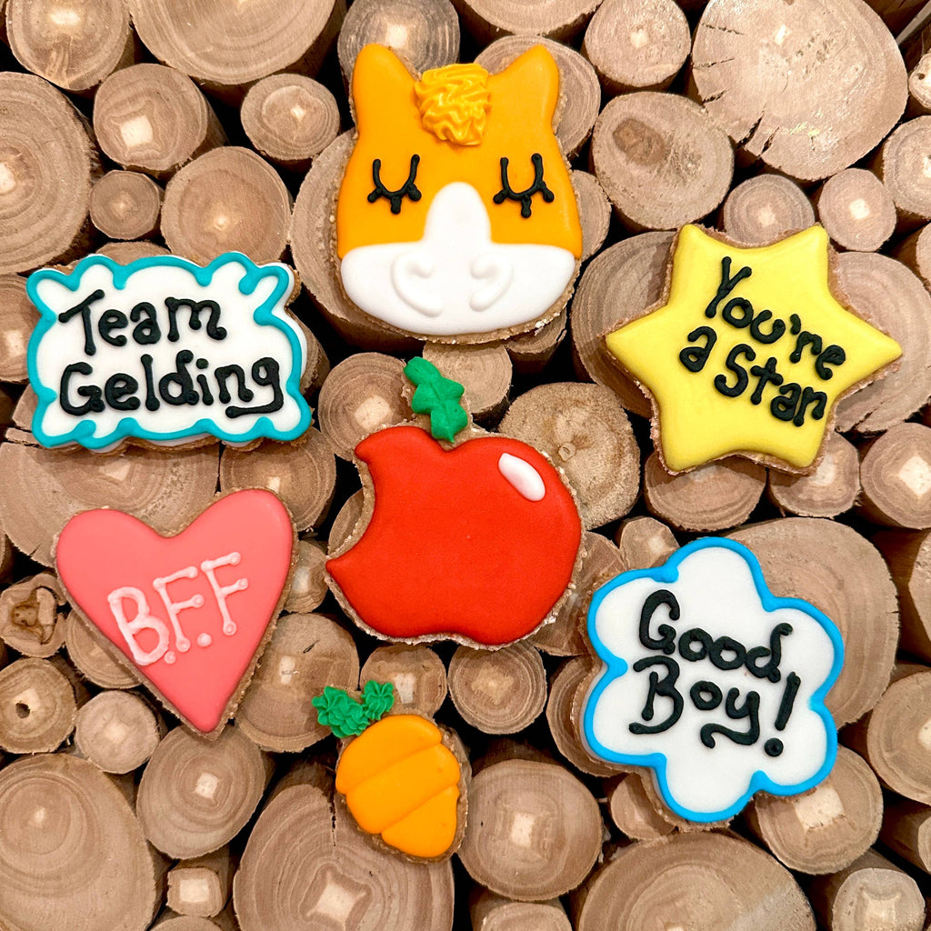 Team Gelding Horse Cookie 7 pack